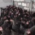 纯正芦花鸡价格芦花鸡苗批发厂家直销全国发货