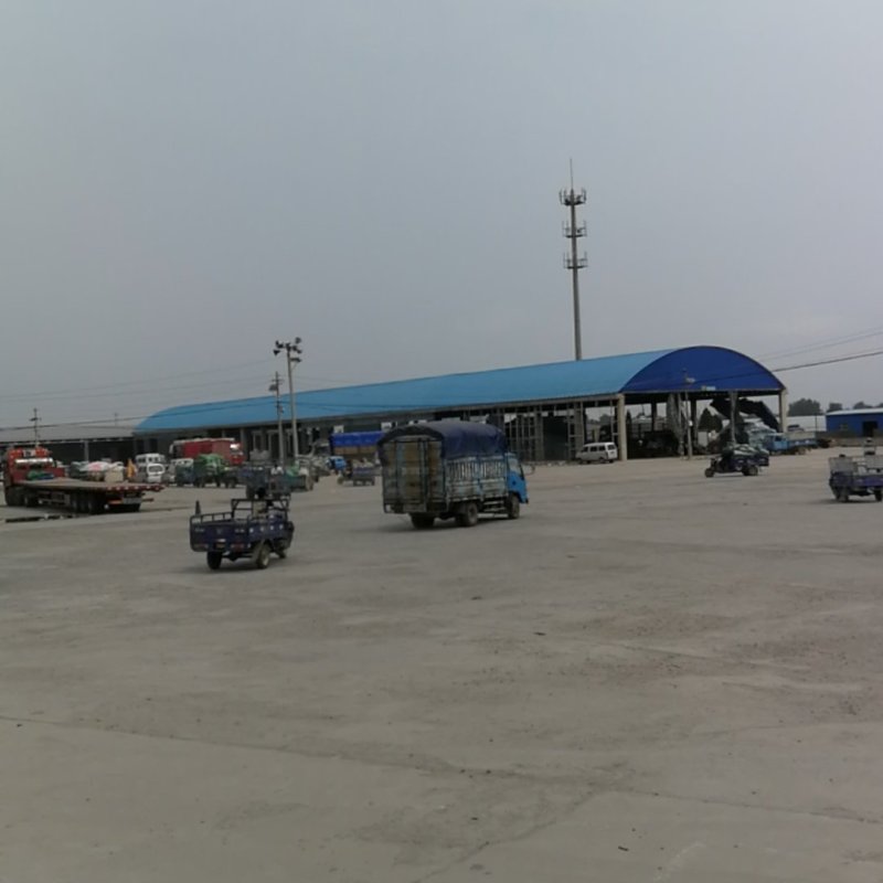 蔬菜市场基地