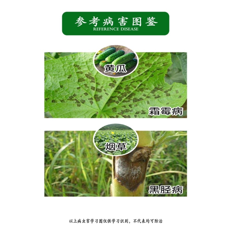 先正达杀毒矾噁霜+锰锌黄瓜霜霉病烟草黑胫病晚疫病杀菌剂剂
