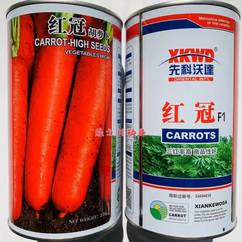 国外引进红冠F1杂交胡萝卜种子三红胡萝卜种子红心率高