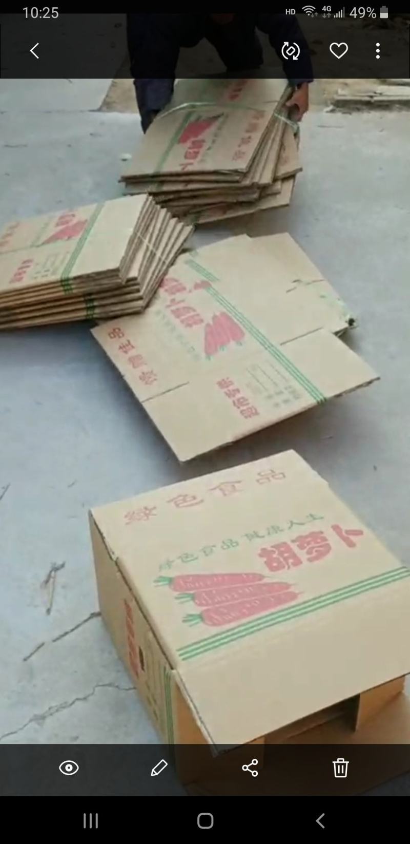 红萝卜，绿萝卜，胡萝卜，各种蔬菜水果纸箱，包装批发，直销