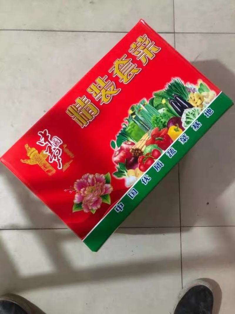 红萝卜，绿萝卜，胡萝卜，各种蔬菜水果纸箱，包装批发，直销