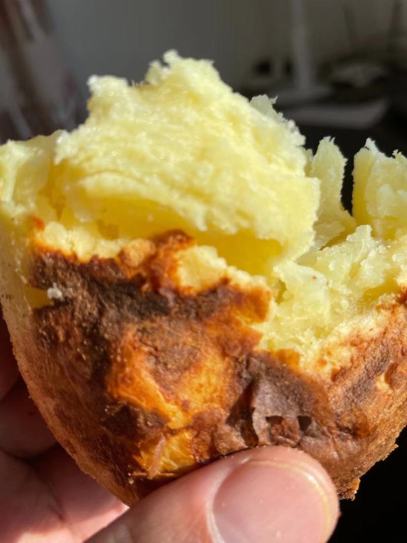 土豆大凉山土豆开挖