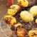 土豆大凉山土豆开挖