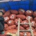 土豆大凉山土豆开挖