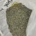 麦黄草籽