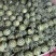 二茬精品美都西瓜有籽，大量上市中黑籽红瓤