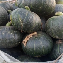 板栗南瓜，河北板栗南瓜大量上口感面甜，产地供应，保证质量