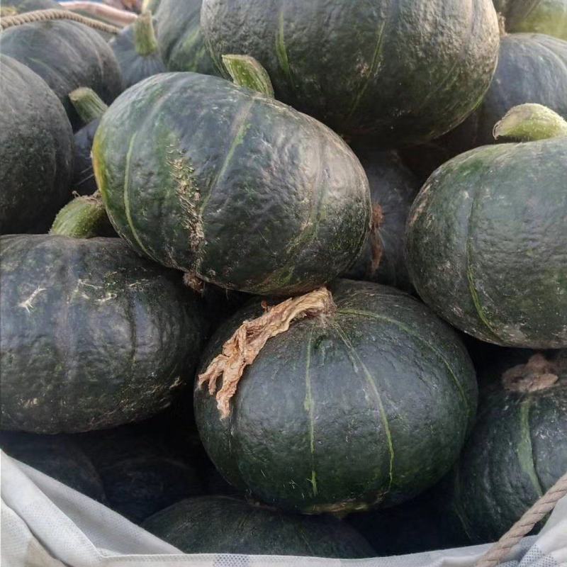 板栗南瓜，河北板栗南瓜大量上口感面甜，产地供应，保证质量
