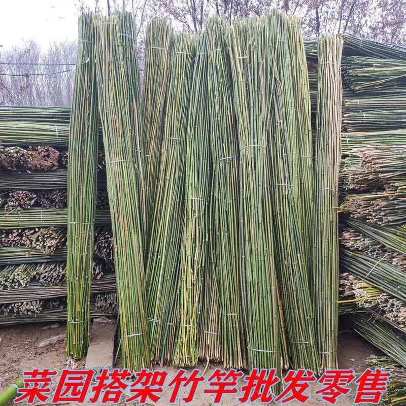 菜架竹南竹麻竹大批量供应优质各种大小竹子