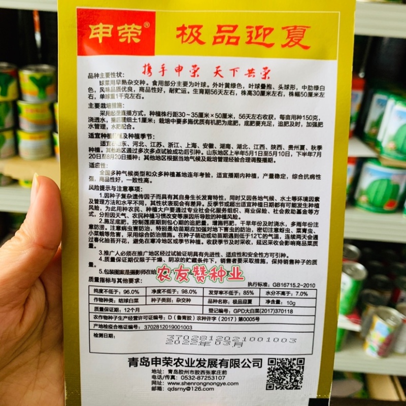 申荣迎夏大白菜种子早熟杂交种叠抱结球白菜种籽夏秋白菜