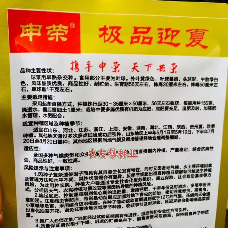 申荣迎夏大白菜种子早熟杂交种叠抱结球白菜种籽夏秋白菜