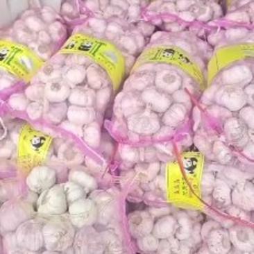 淮阳脱水蒜蒜米料发市场大混迹大量上市品质保证