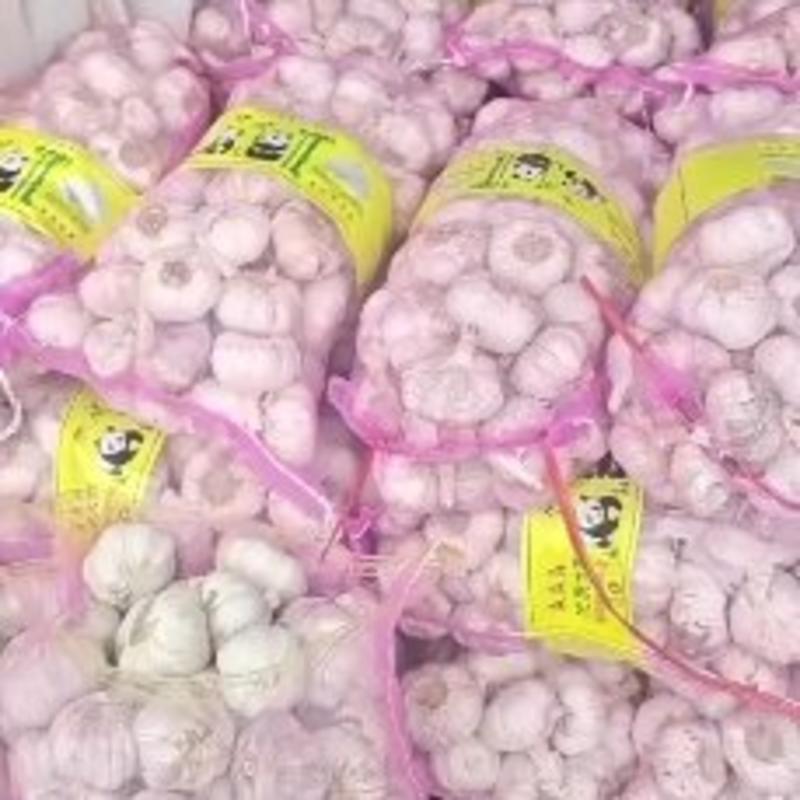 淮阳脱水蒜蒜米料发市场大混迹大量上市品质保证！