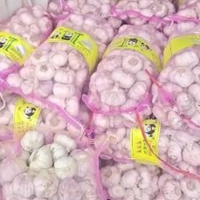 淮阳脱水蒜蒜米料发市场大混迹大量上市品质保证