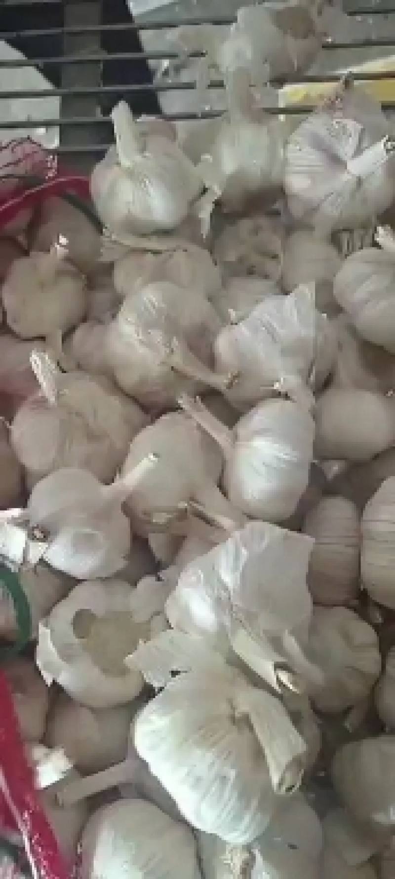 淮阳脱水蒜蒜米料发市场大混迹大量上市品质保证
