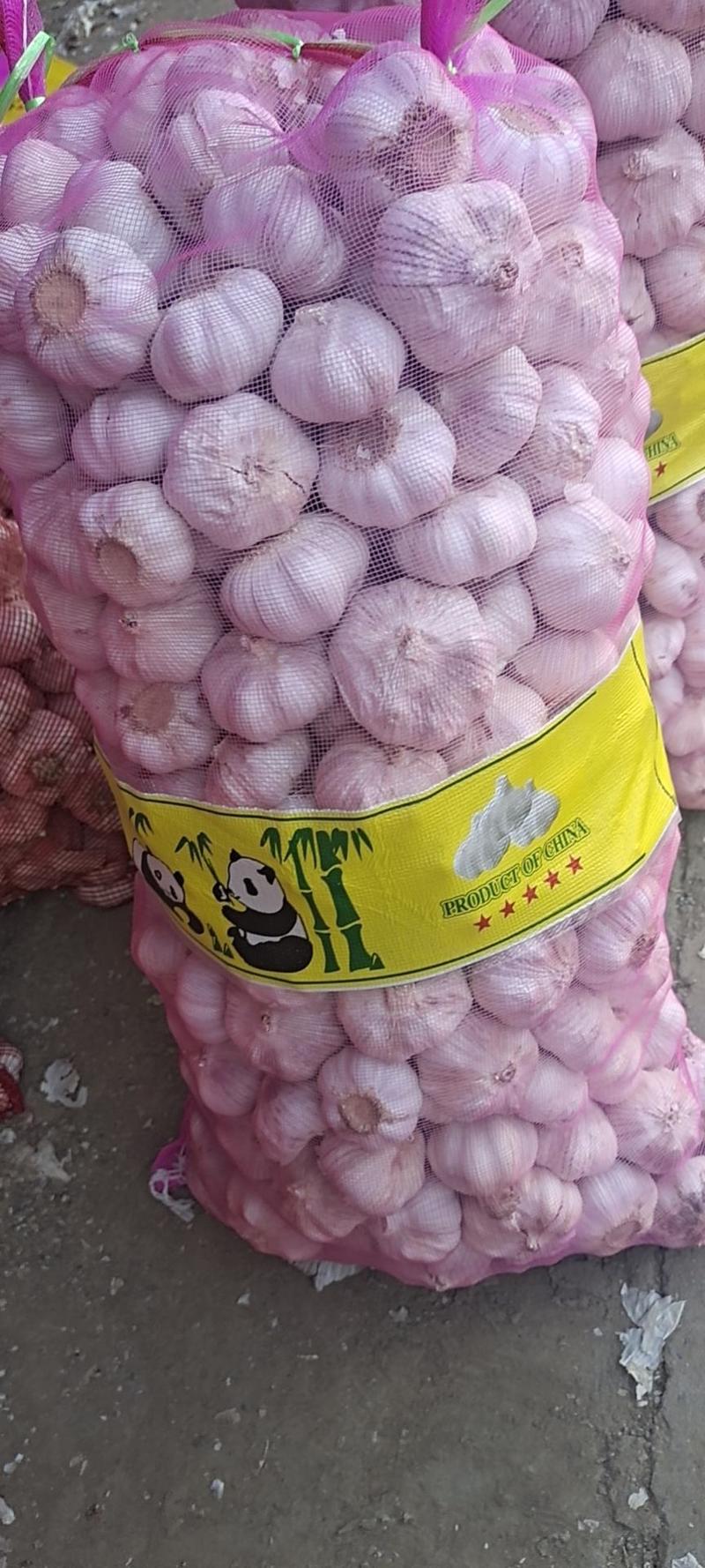 淮阳脱水蒜蒜米料发市场大混迹大量上市品质保证！