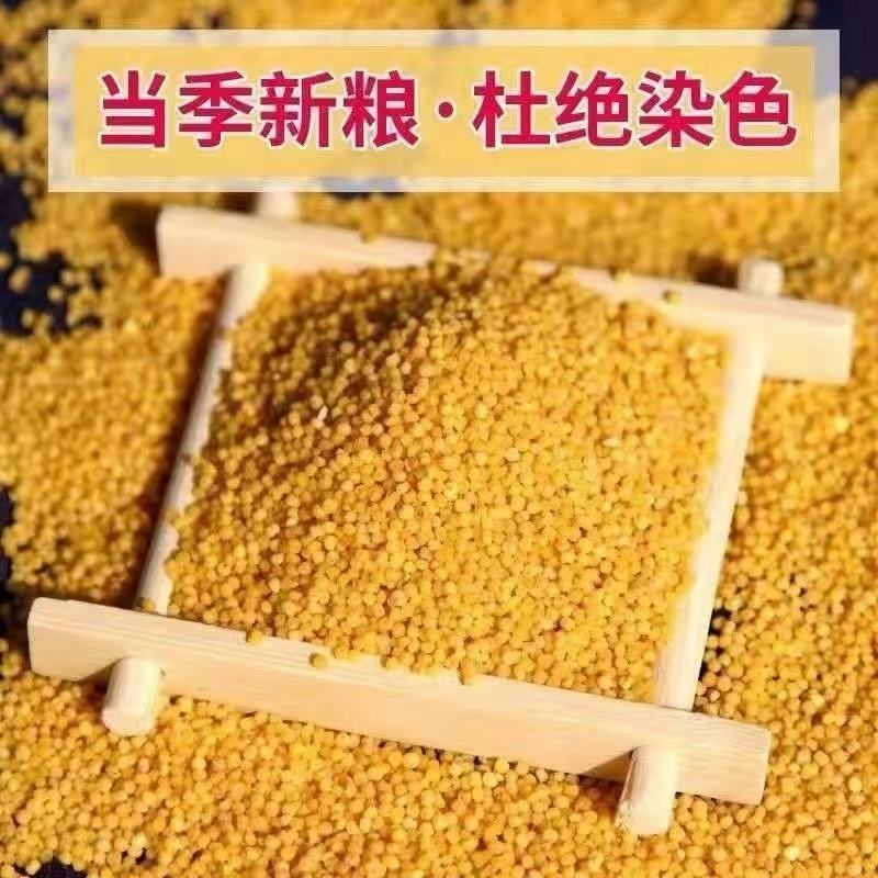 农家小米
