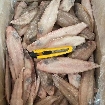 龙利鱼，15过分左右，量大联系，国产货