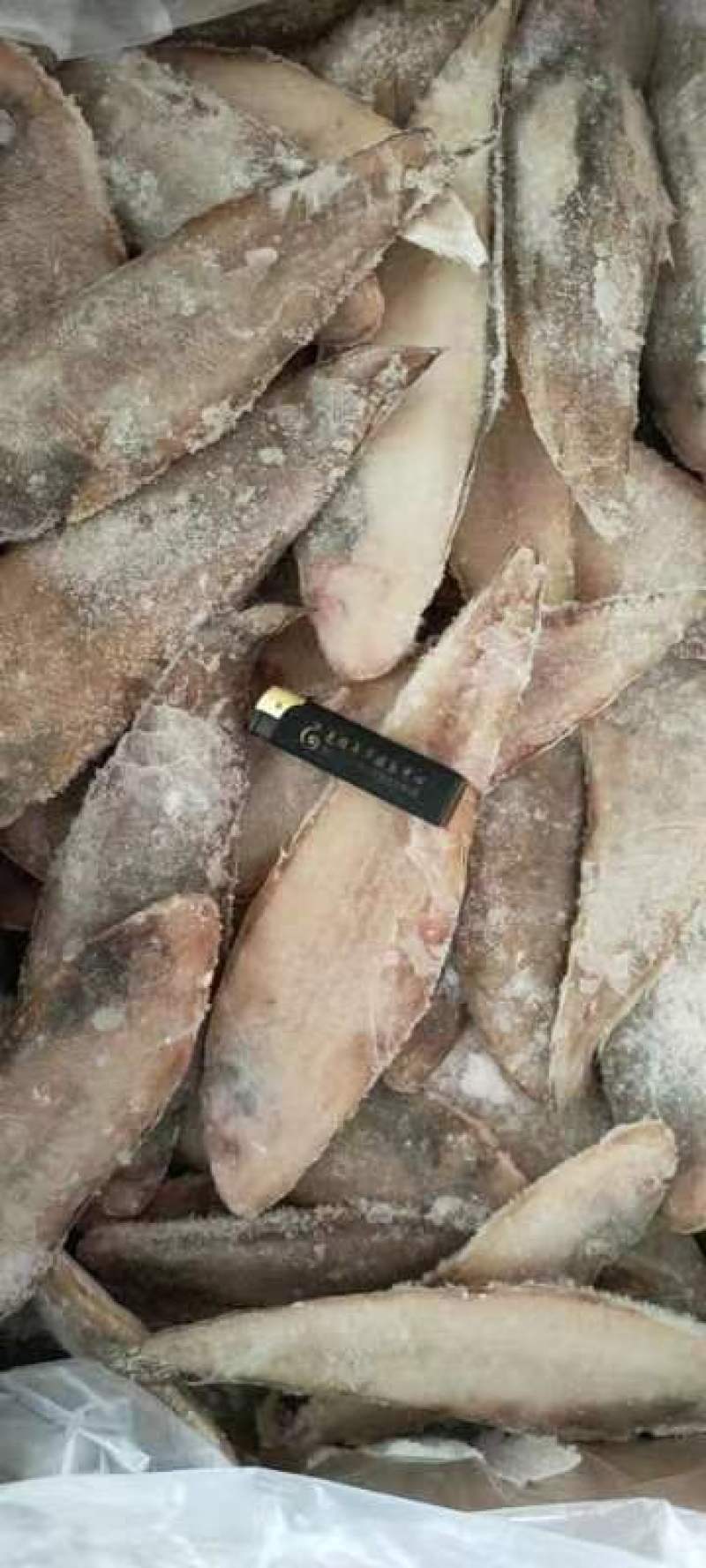 龙利鱼，15过分左右，量大联系，国产货