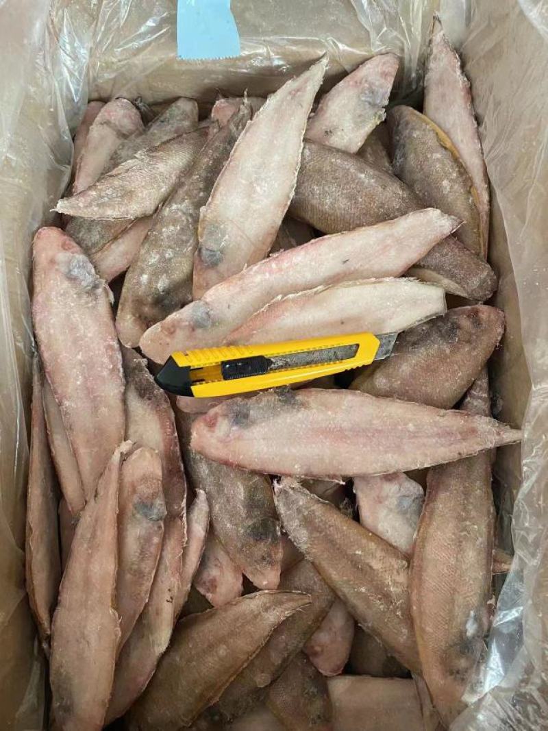龙利鱼，15过分左右，量大联系，国产货
