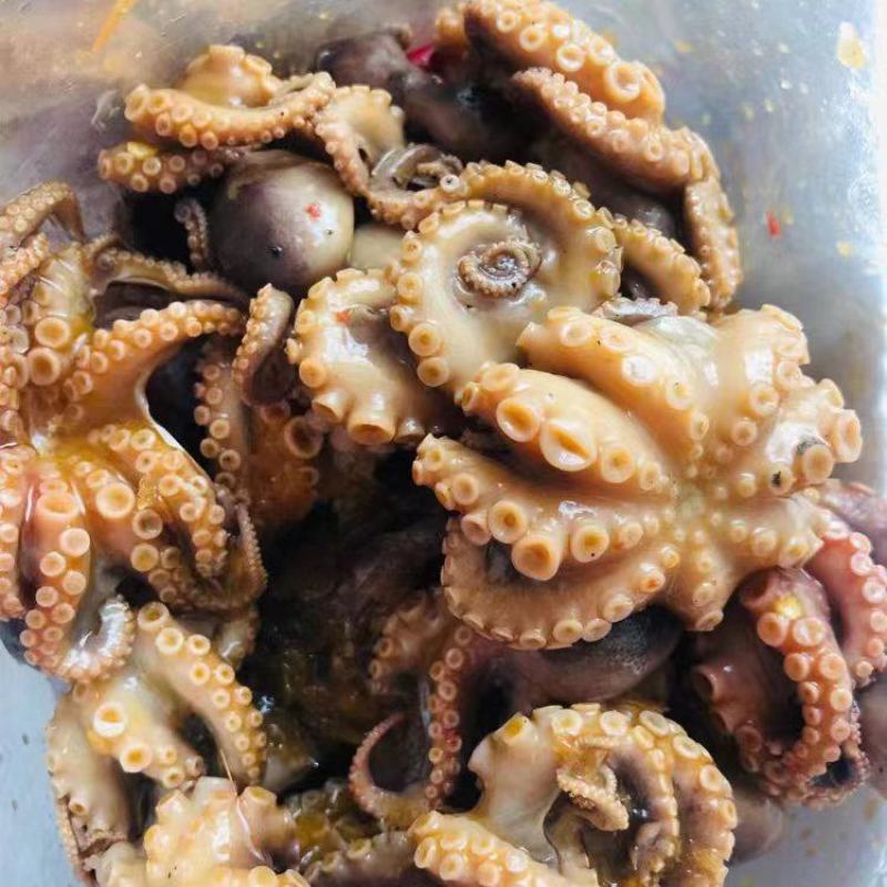 麻辣八爪鱼#网红小海鲜#捞汁小海鲜#好吃到爆