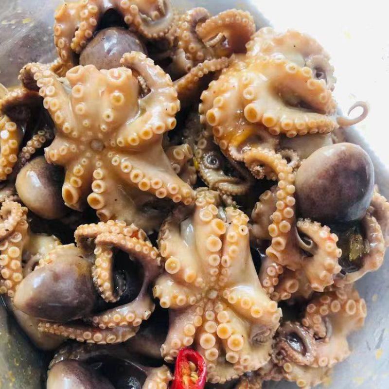 麻辣八爪鱼#网红小海鲜#捞汁小海鲜#好吃到爆