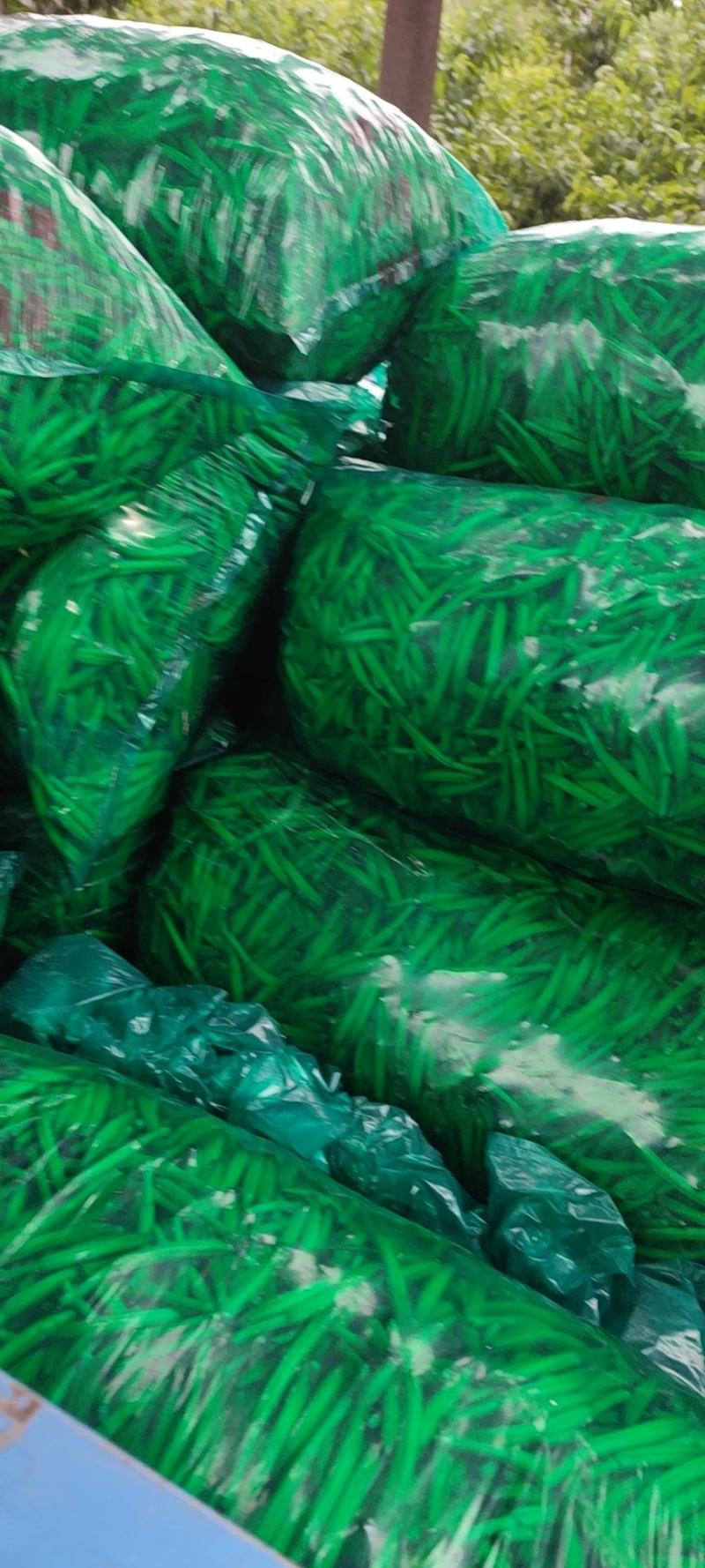 我是河南省灵宝市的王转丽，优质黄心黄花菜即将上市！
