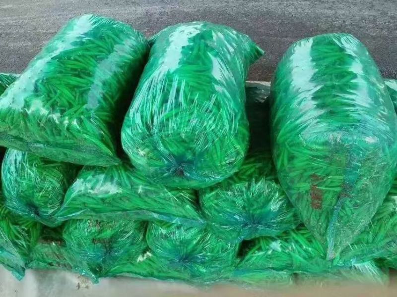 我是河南省灵宝市的王转丽，优质黄心黄花菜即将上市！