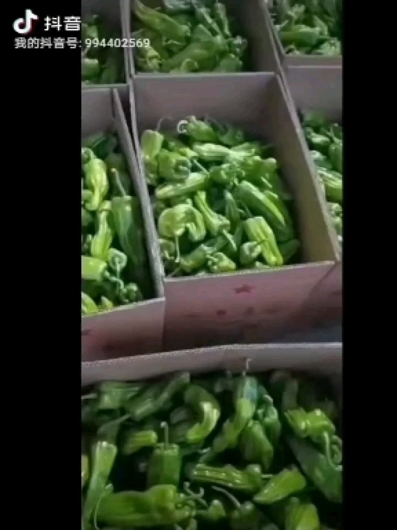 物美价廉薄皮椒