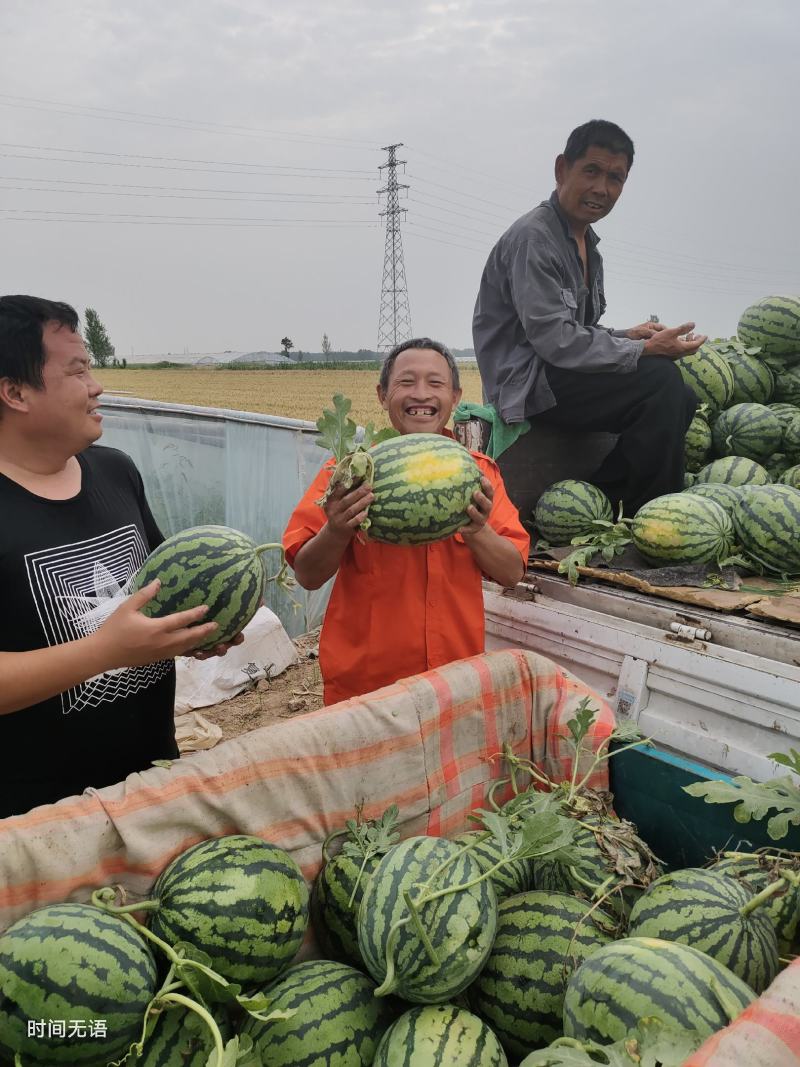 本地甜王西瓜真实价不虚标