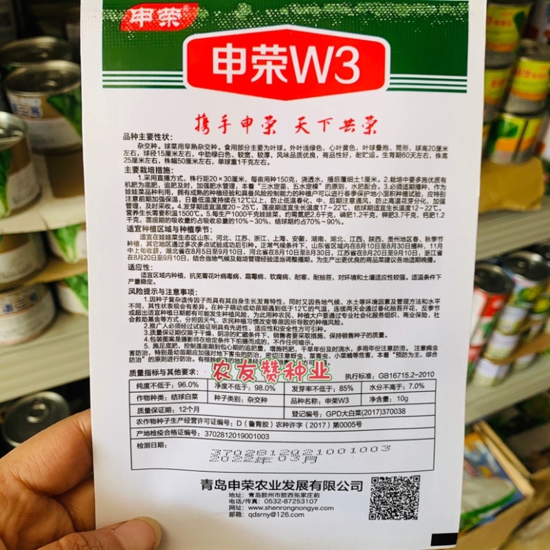 申荣W3娃娃菜种子春秋叠抱筒形球菜用早熟黄心娃娃菜种子