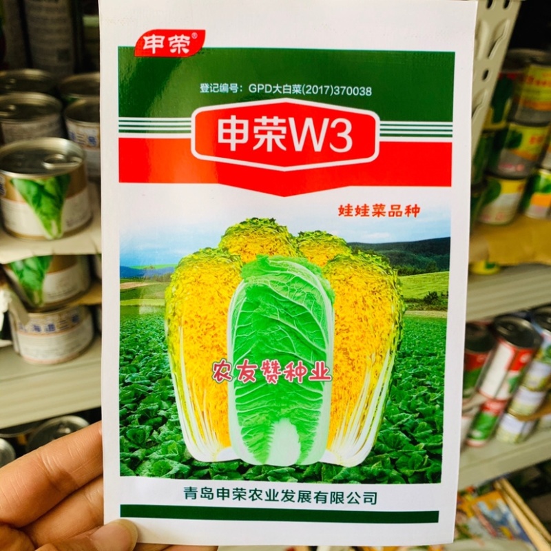 申荣W3娃娃菜种子春秋叠抱筒形球菜用早熟黄心娃娃菜种子