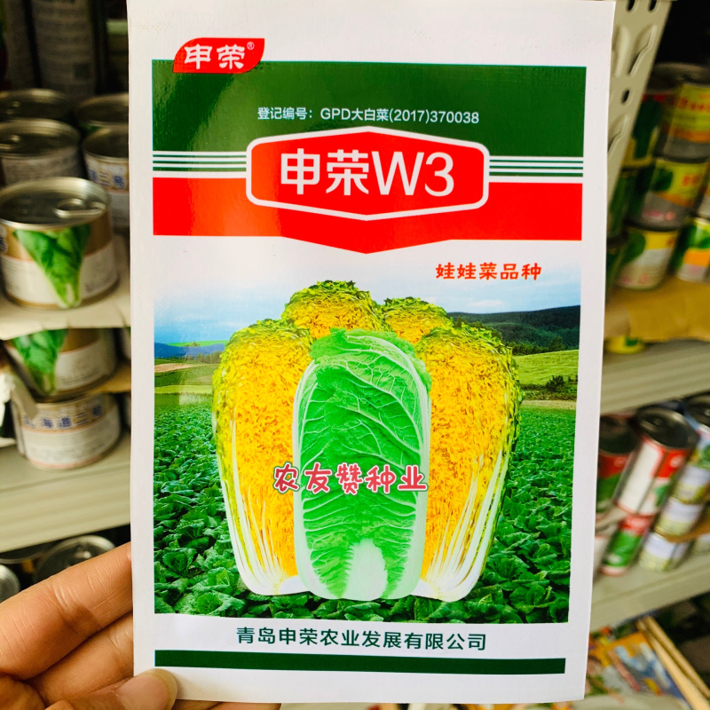 申荣W3娃娃菜种子春秋叠抱筒形球菜用早熟黄心娃娃菜种子