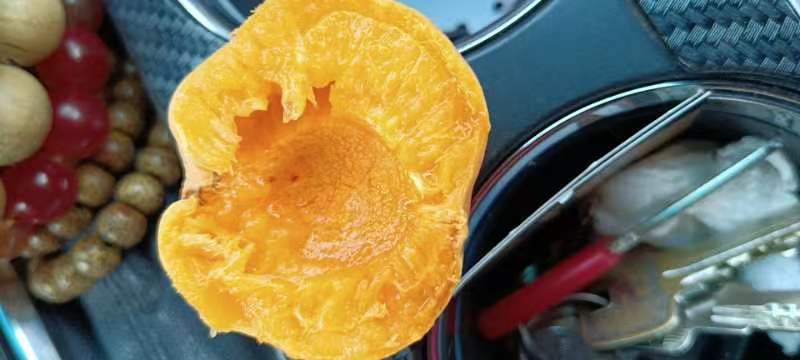 凯特杏切片营养展示图