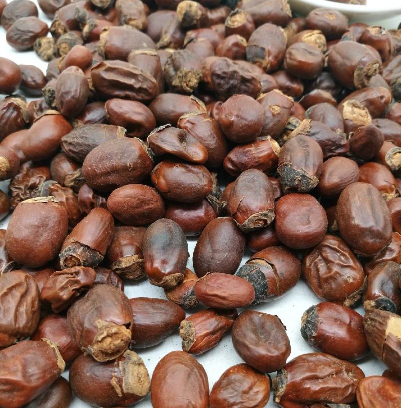 荔枝核统装500g产地山东振兴药材购销站量大从优