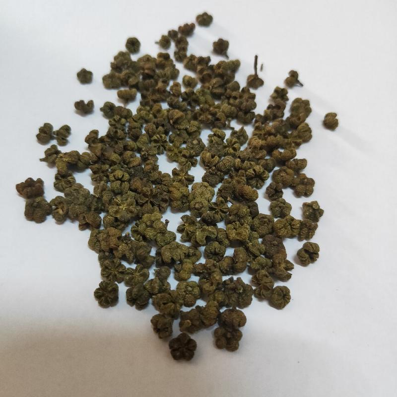 吴茱萸新货吴茱萸实物拍照产地直供量大从优