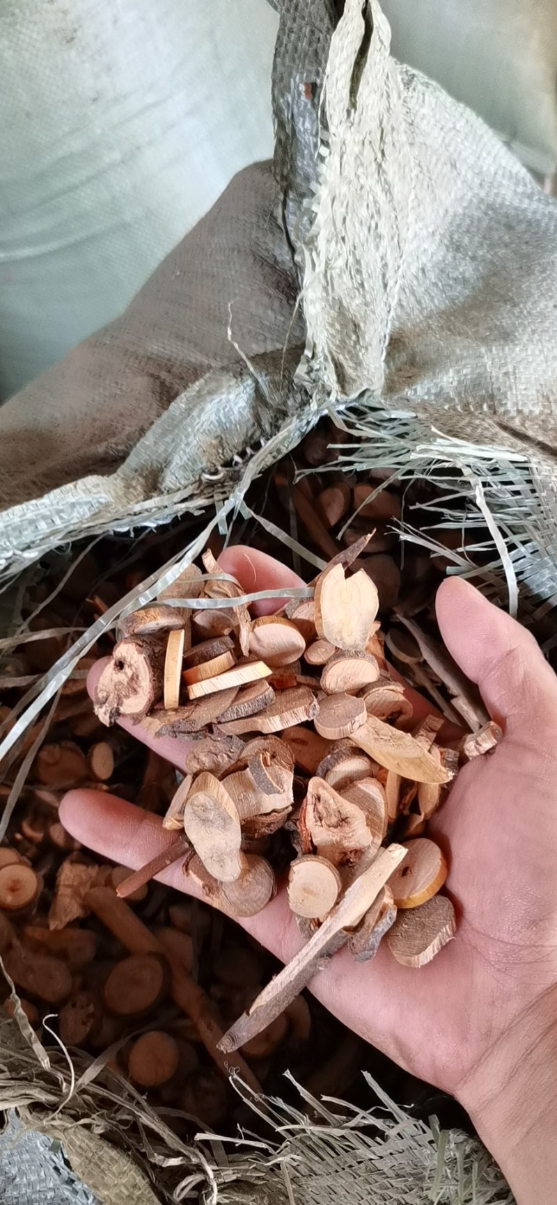 桂枝中粒品质保证量大从优支持视频看货选货