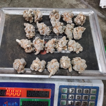 三七，正宗云南文山三七，田七，货品足干，可以免费磨粉