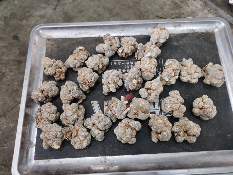 三七，正宗云南文山三七，田七，货品足干，可以免费磨粉