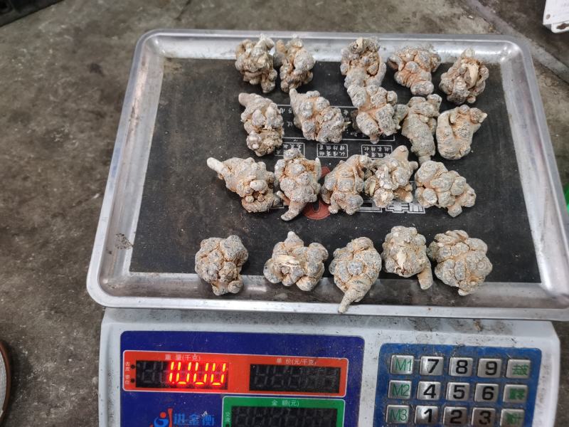 三七，正宗云南文山三七，田七，货品足干，可以免费磨粉