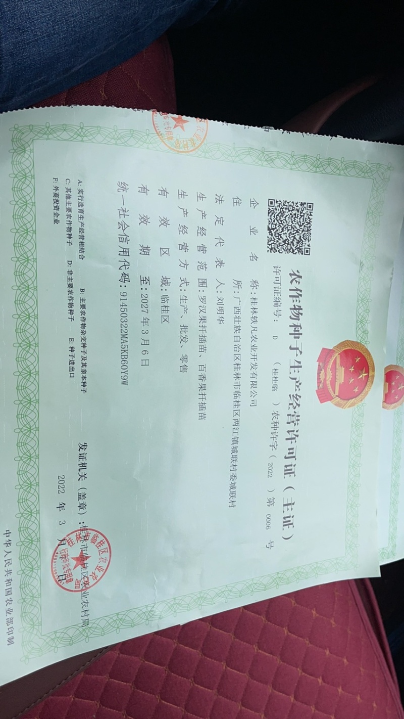 香果优质苗.黄金果9号、台农、紫香苗、芭乐黄金果苗