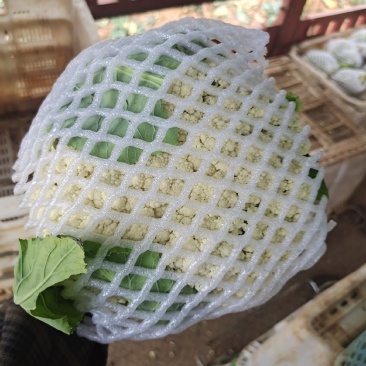 可亲自下地验货