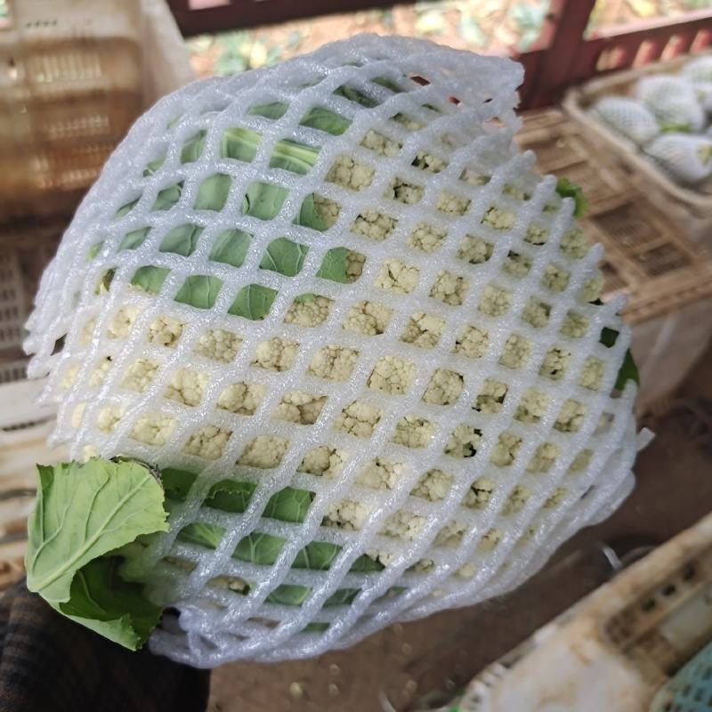 可亲自下地验货