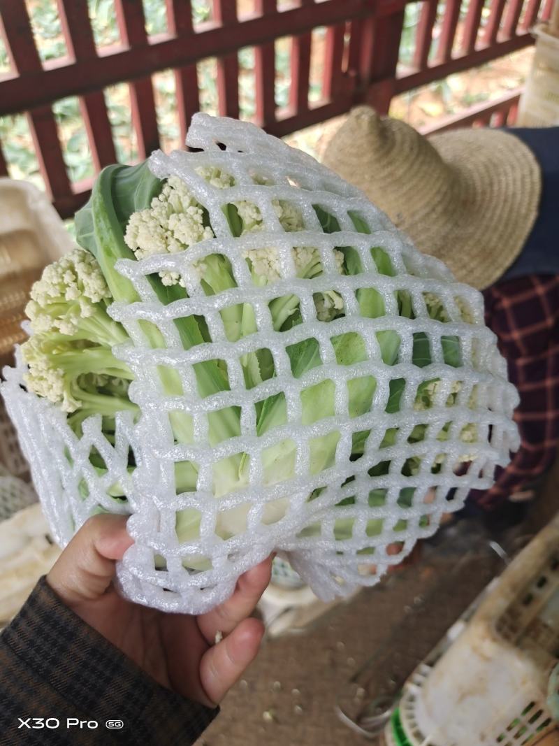 可亲自下地验货