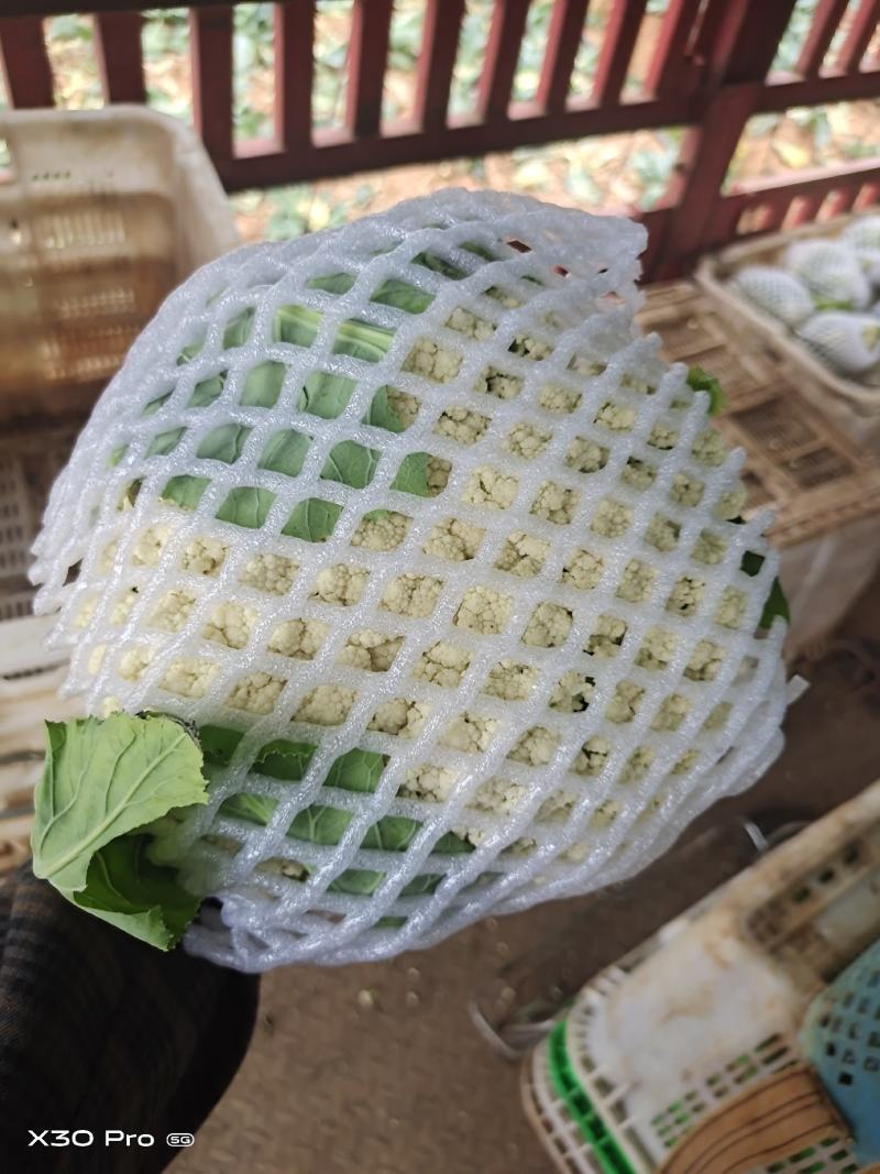 可亲自下地验货