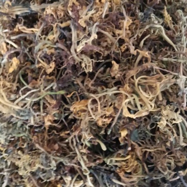 高山野生金银花，不打农药，不施肥
