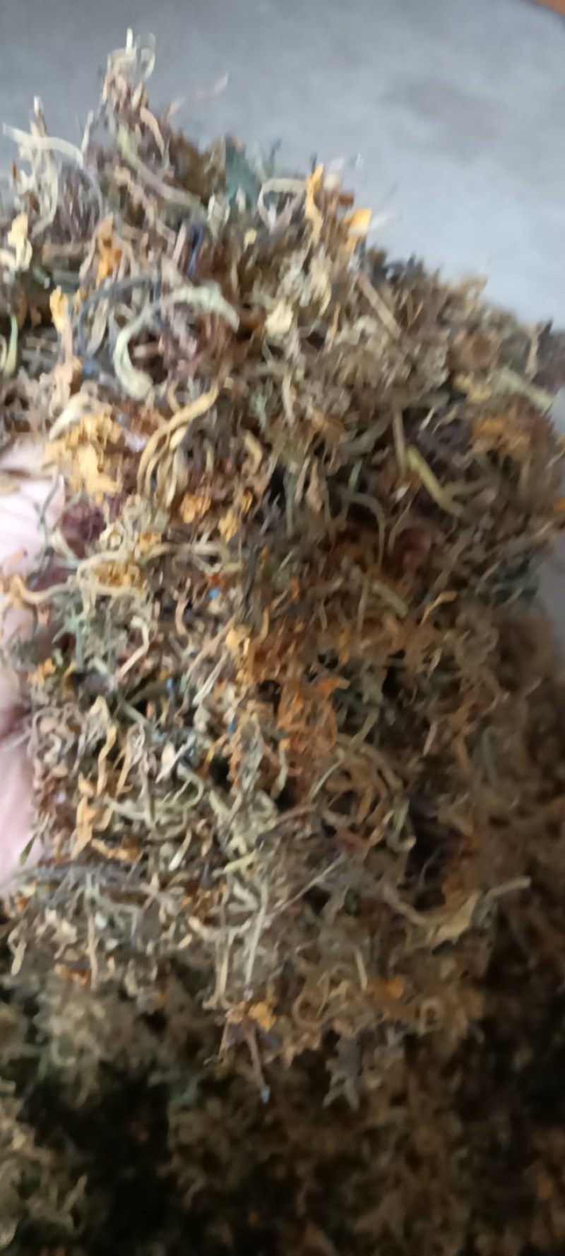 高山野生金银花，不打农药，不施肥
