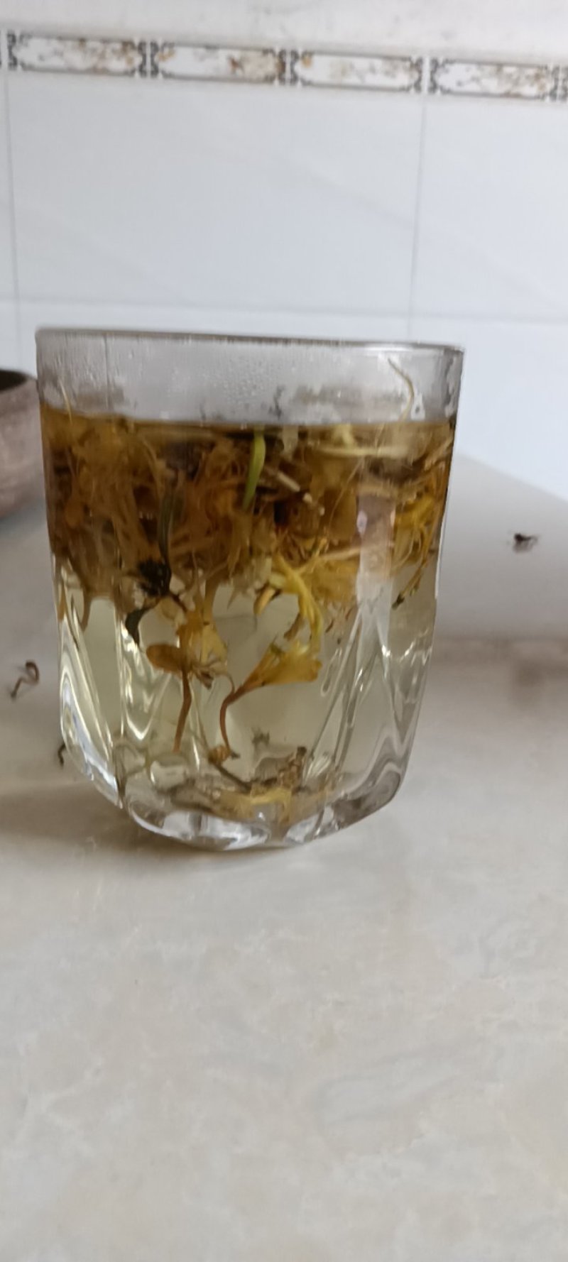 高山野生金银花，不打农药，不施肥