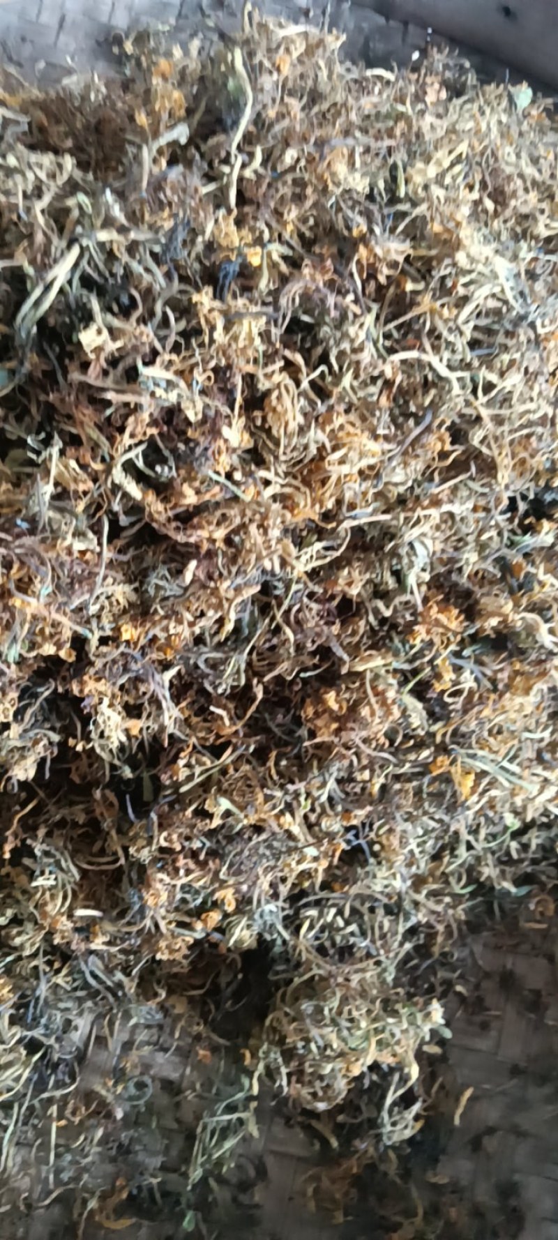 高山野生金银花，不打农药，不施肥